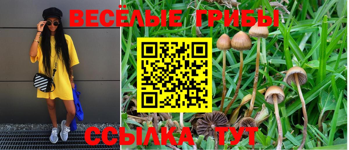 Псилоцибиновые грибы прущие грибы Крымск
